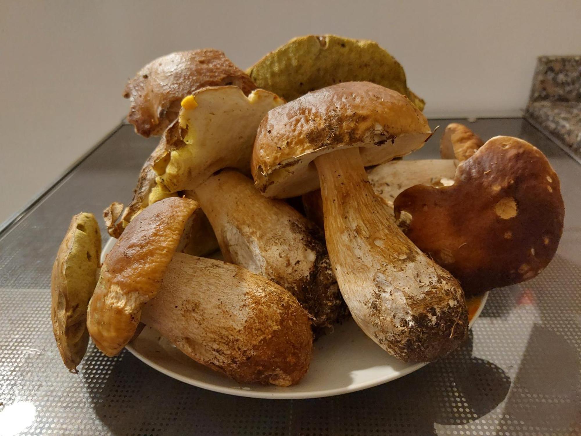 Room&Breakfast Al Canyon فوندو المظهر الخارجي الصورة